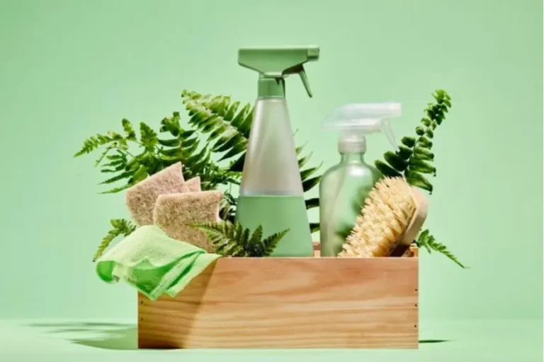 What Cleaning Products Are Used During an End of Tenancy Clean—Eco or Standard?