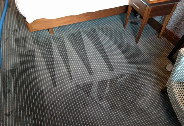 carpet cleaning services in West-Byfleet - After cleaning 1