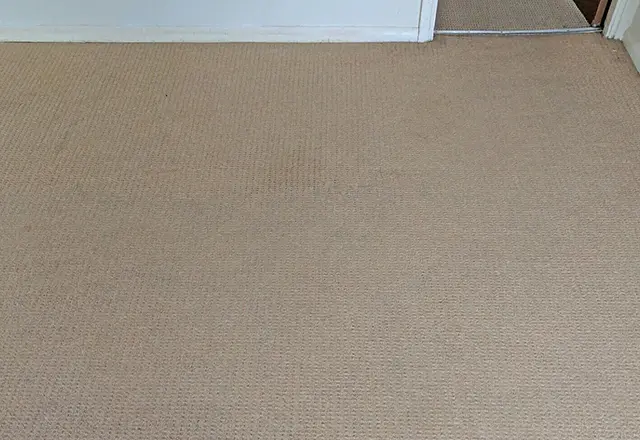 carpet cleaning services in Kingston - After cleaning 4