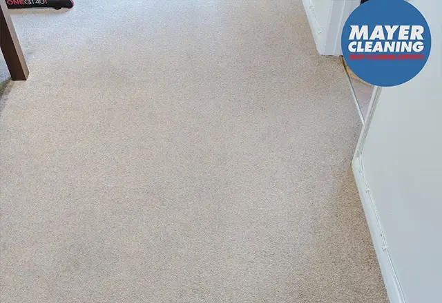 carpet cleaning services in Kingston - After cleaning 2
