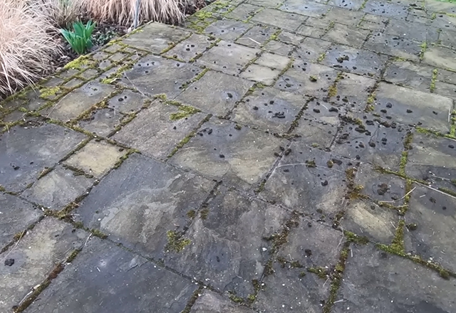 pressurewashing cleaning services in Englefield-Green - Before cleaning 1