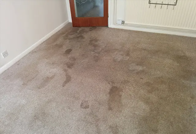 carpetprotect cleaning services in St-Georges-Hill - Before cleaning 4